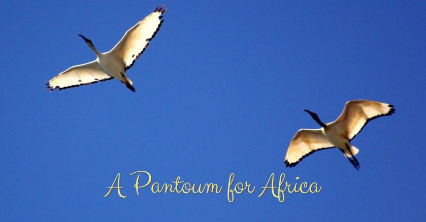 Patricia Furstenberg A Pantoum for Africa AVBOB poetry