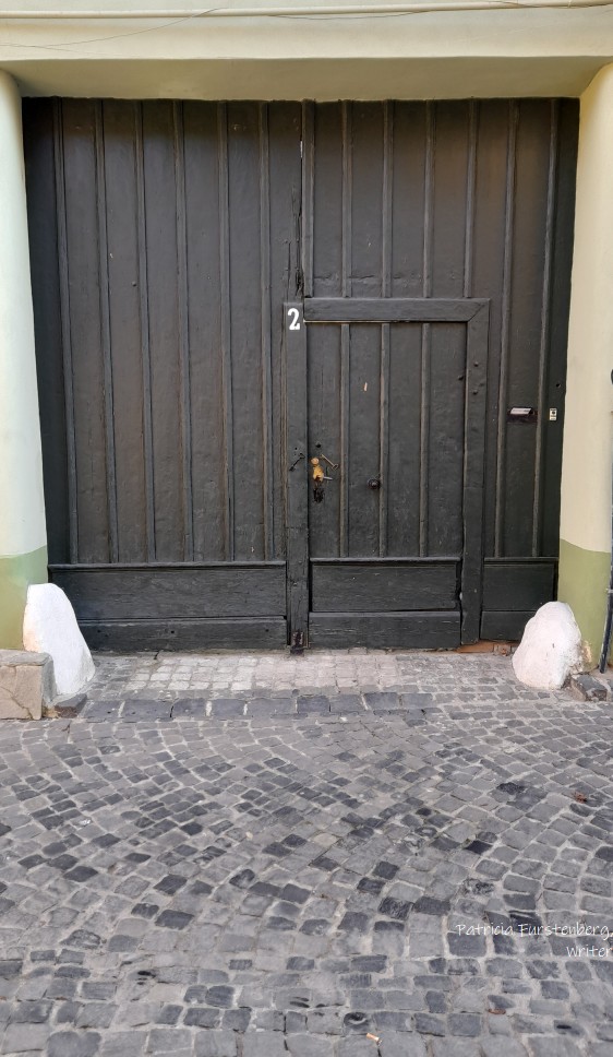 typical Transylvanian door and gate Targului Street Sibiu whimsy