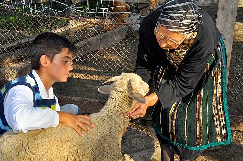 a martisor in red and white is placed around the neck of a lamb foe good luck and hope on 1 March