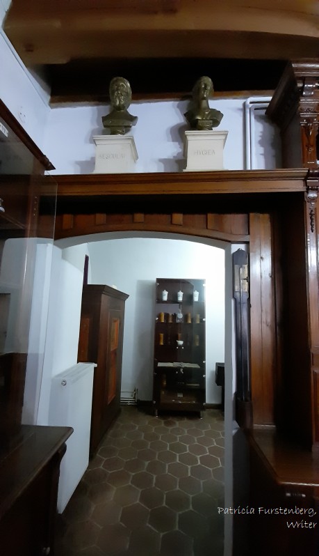 Pharmacy Museum Sibiu door from the oficina to laboratory 