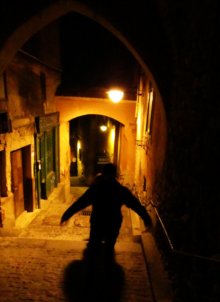 spooky shadow night passage Sibiu comprehensive journey vampire history