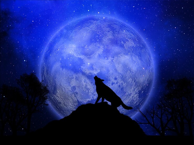 "So magic she made, Lady Moon, Brighter she shone"- but why? Magic Verse for the Wolf Moon, January's Full Moon