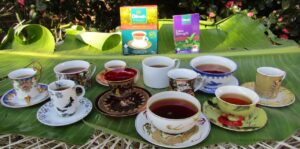 Choosing between Dilmah Extra Strength and Premium Ceylon black tea, a review: aroma, taste and color. Caffeine content, best pairing of black tea, secret tips.