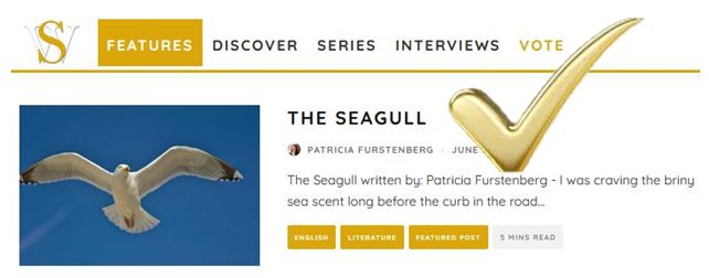 vote The Seagull Patricia Furstenberg Spillwords Publication of the Month
