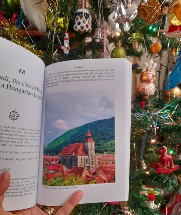 reading Dreamland by the Christmas tree look inside