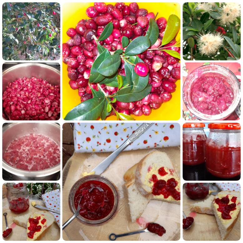 Lilly Pilly Jam recipe 