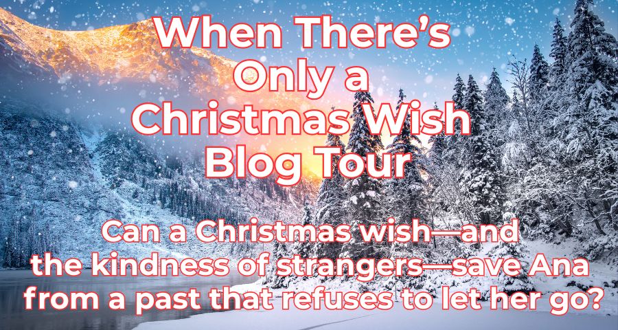 DL Finn When There's Only a Christmas Wish Blog Tour 7 November
